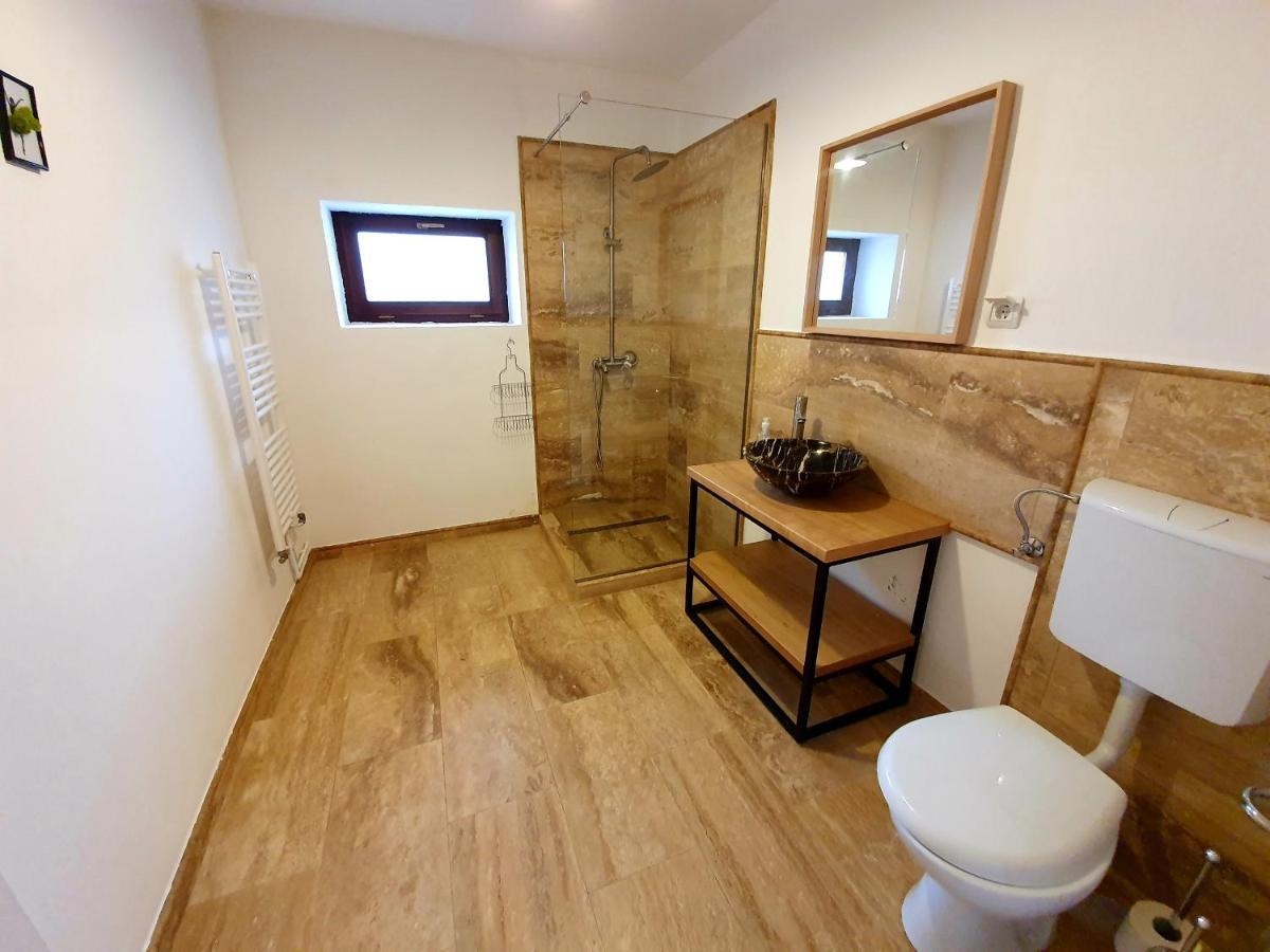 סיגישוארה Maximus Apartments מראה חיצוני תמונה